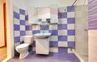 Apartament cu 3 camere decomandat în Elisabetin - 11
