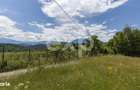 Teren cu potential de dezvoltare imobiliara cu panorama - 2