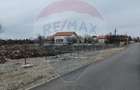 Teren 500mp Vladiceasca / None - 5
