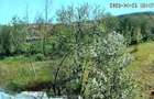 vanzare casa ?i teren la ?ara - 3