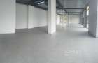 Inchiriere hala/show room/Spatiu comercial Cluj-Baciu - 2