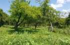 UNIC ! 5000 mp Muscel Campina, Fantana cu ciresi,Voila, padure, ideal vile pensiuni - 1