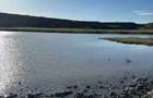 Teren- Lac natural 13,1 ha investitie rara langa Bucuresti - 7