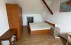 Apartament cu 4 camere decomandat în Semicentral - 8