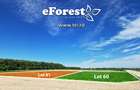 Loturi de casă 720 - 900 mp, langă Pădure în eForest, acces asfaltat - 6