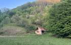 Teren cu casa de vanzare - 6