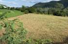 vand teren intravilan - 3