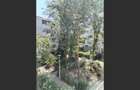 Apartament cu 3 camere semidecomandat în Obor - 8