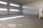 Calea Lugojului HALA - 430 mp - Mica productie-Depozitare - 1750 euro - 3