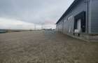Depozit refrigerare de 292mp Dumbrăveni, Suceava - 6