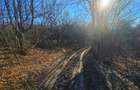 Teren intravilan 2.000 mp – Seciu, 2 deschideri, Priveliște panoramica - 14