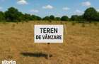 Teren 4.000mp Bucium-Dobrovat - 2