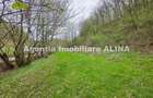 Teren intravilan 1.700 mp + 6.600 mp Padure de foioase + 1.200 mp Padure de foioase, Sat Nojag. - 12