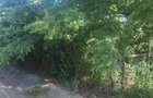 Casă cu Teren 900 Mp în Central - 2