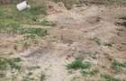 Teren de 22000 mp, în Podu Turcului - 4