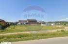 Teren intravilan cu dublu front stradal I Poiana Craitelor I Bod - 3