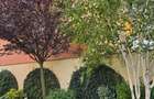 Vila de vanzare in Constanta - 3