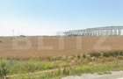 Teren intravilan, 18.802 mp, zona Carcea - 1