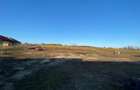 Teren intravilan de vanzare 7.800 mp Hidiselu de Jos, front la DN76 - 3