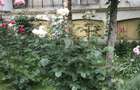 Apartament cu 4 camere decomandat în Dorobanți - 14