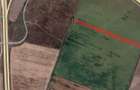 Teren intravilan 10.400 mp, zona in dezvoltare ?tefane?tii de Jos, Padurea Runcu - 3