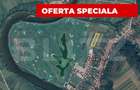 Teren extravilan, 4600 mp, Zona Teleac - Golf Theodora - Ciu - 1
