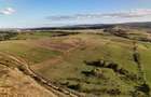 Teren agricol intravilan de 11510 mp, în Sopor - 7