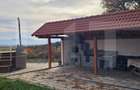 Casa de vanzare, sub padure, intr-un cadru natural deoseb - 7