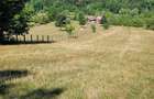 Teren de 1400 mp, în Săvârșin - 2