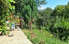 Casa 3 camere, 129mp, zona Viisoara , teren 1240mp - 14