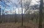 Vand teren intravilan 4900m2 - 7