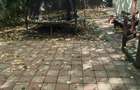 Apartament cu 3 camere în Podul de Piatră - 1