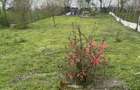 Vand proprietate Casa - 4