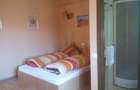 vila 7 camere Ghimbav - 10