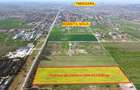 Teren de 613 mp, în Buziașului - 3