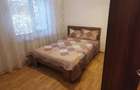 Apartament cu 3 camere decomandat în Nicolae Grigorescu - 5