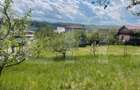 Investitie ! Teren intravilan,494 mp, front 14 m,cart Dambu - 3