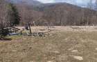 Teren de 1300 mp, în Valea Doftanei - 2