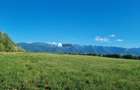 OPORTUNITATE REZIDENTIALA TEREN INTRAVILAN GENEROS 17.526 FAGARAS - 2
