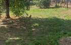 Casa de vanzare in com.Banesti. - 5