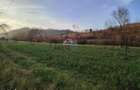 Teren intravilan-2.600 mp in Barsana | 100 ml deschidere | Comision 0 - 1