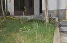 Sinaia,doua proprietati garsoniera in curte si apartament in vila zona Peles str.Furnica - 9