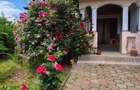 Casa de vanzare langa One?ti, ?tefan cel Mare, ideala pentru familie - 1