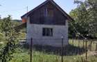 Casă cu Teren 8000 Mp în Dăbâca - 8