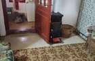 Oferta de vanzare teren si casa in judetul Cluj, comuna Belis, sat Belis - 5