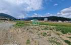 Teren intravilan, 468 mp, Sacele, Brasov - 9