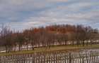 Teren intravilan 4.700 mp Ghelari, Hunedoara