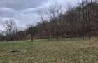 Teren de 5500 mp, în Făurești - 4