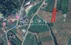 Teren Tocile (parcelabil) 3500 mp - 2