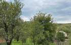 DE VANZARE Casa + Teren 3.100 MP | Suslanesti, Comuna Mioarele, ARGES - 4